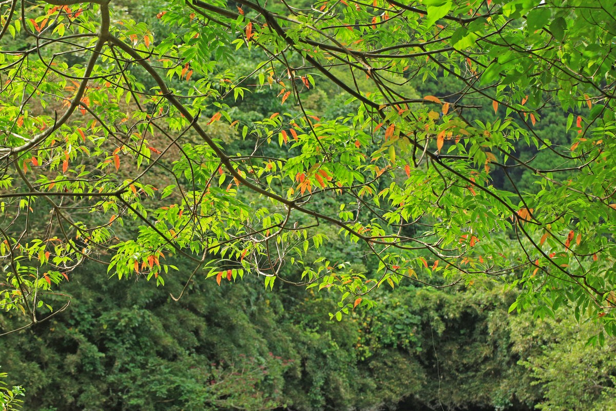 c0104227_2121878.jpg
