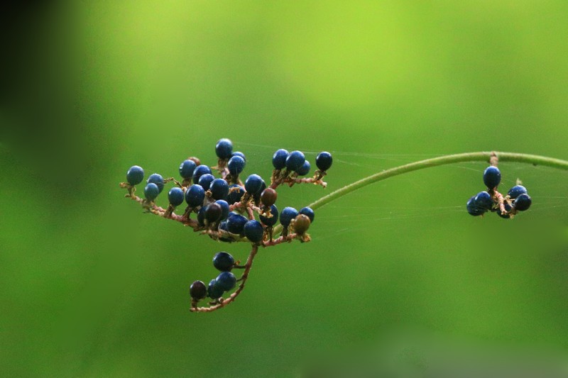 c0104227_215969.jpg