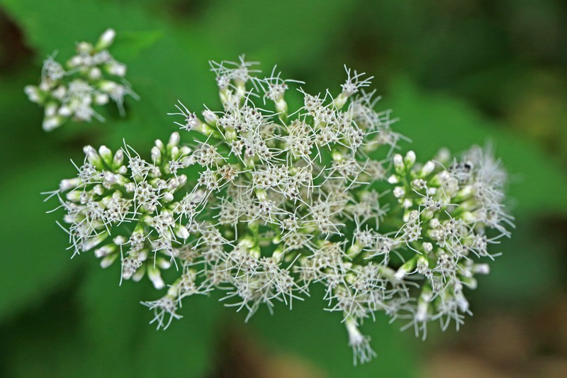 c0104227_2195799.jpg
