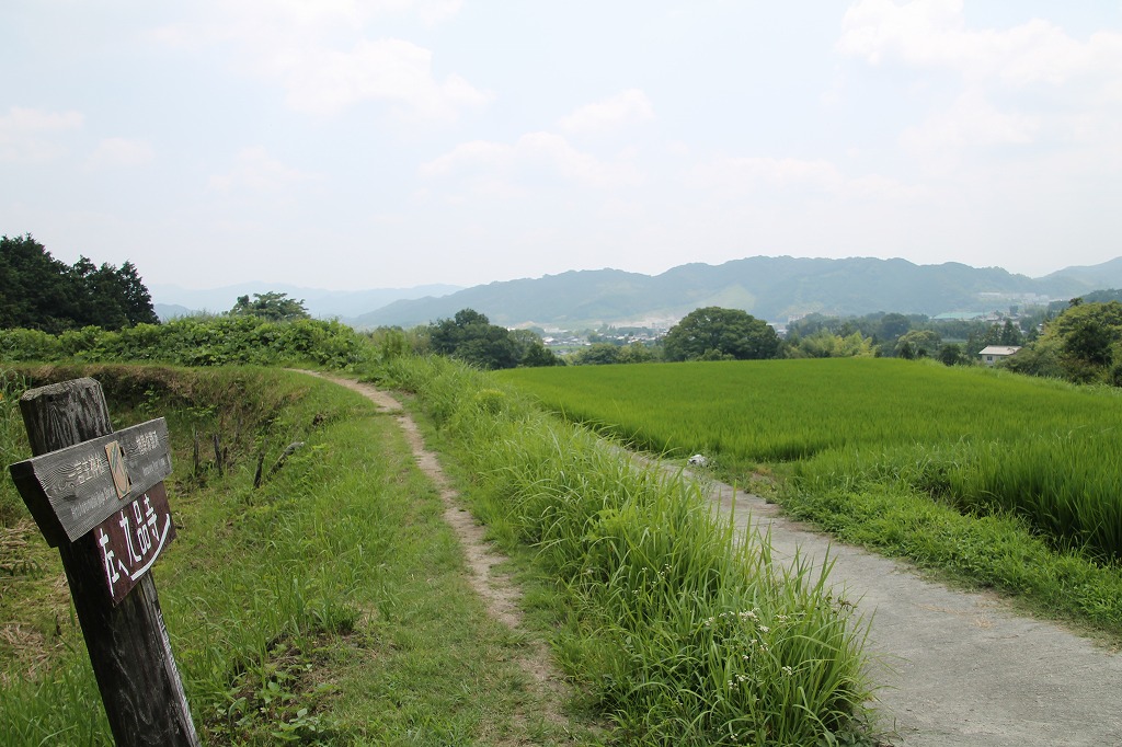 b0162728_753713.jpg