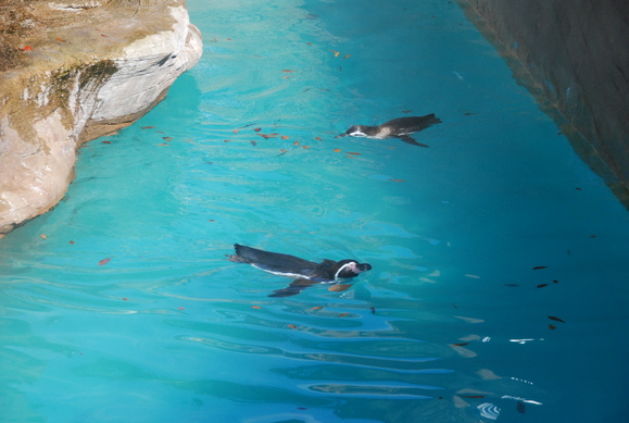 f0247039_22471766.jpg
