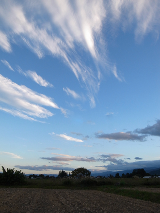 a0014840_2018872.jpg