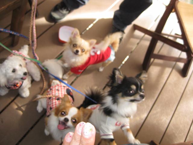 c0134645_044092.jpg