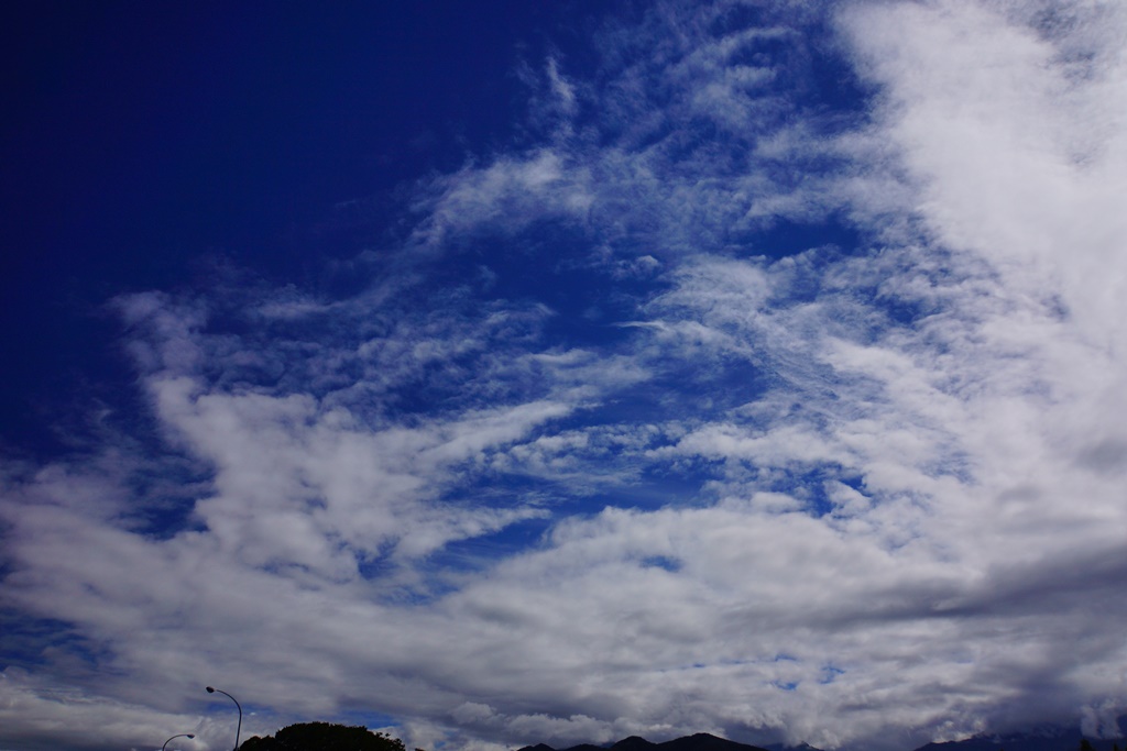 e0223456_15364551.jpg