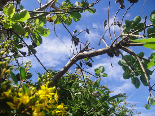 c0108460_2072246.jpg
