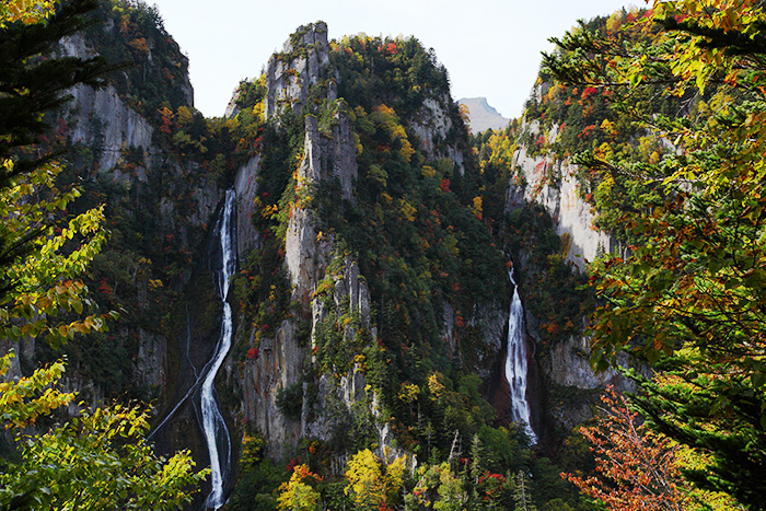 f0054366_195899.jpg