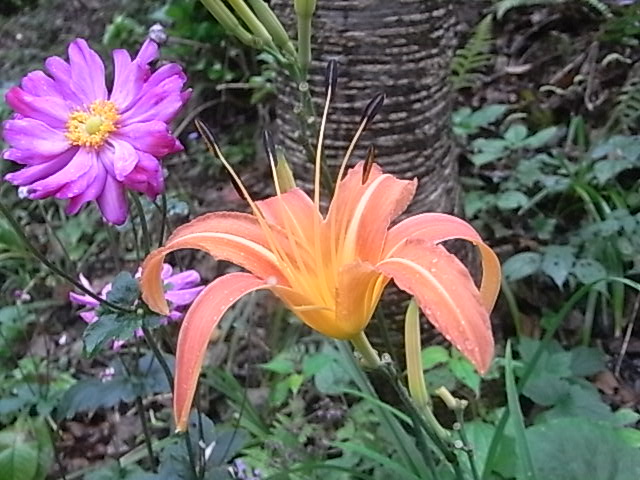 a0146070_5583095.jpg