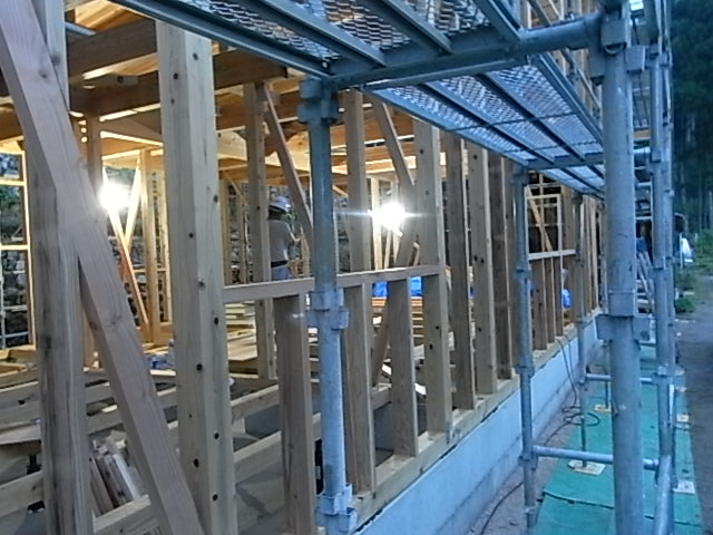 a0146070_6155297.jpg