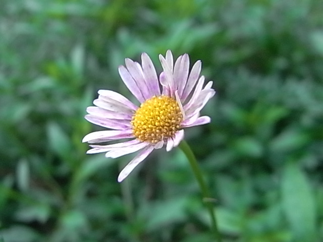 a0146070_624452.jpg
