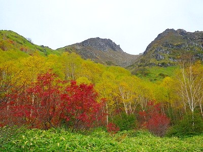 f0182173_10501647.jpg
