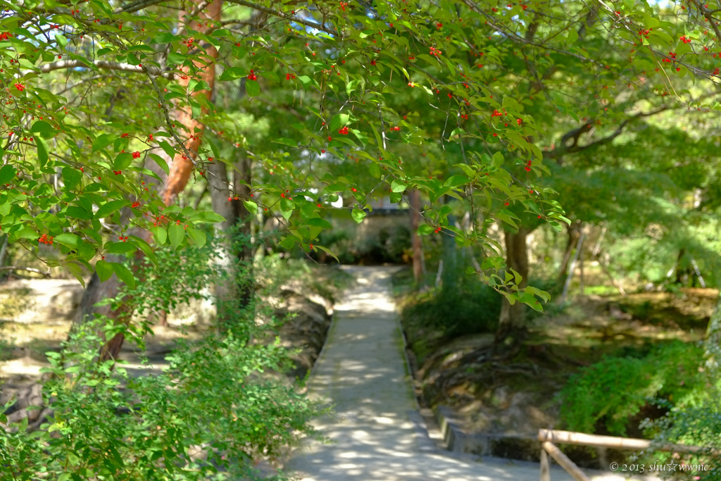 a0142976_2256346.jpg