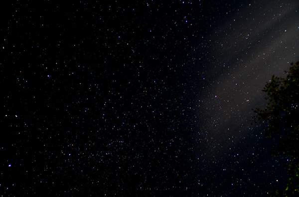 a0053783_19475749.jpg