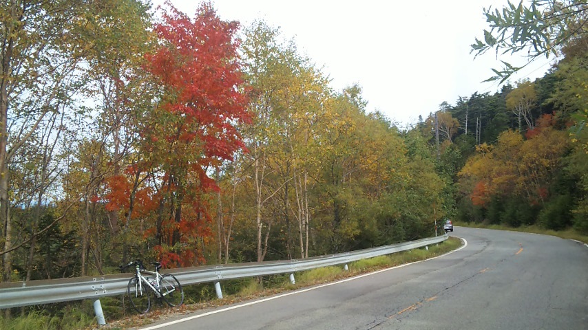f0131183_1114322.jpg