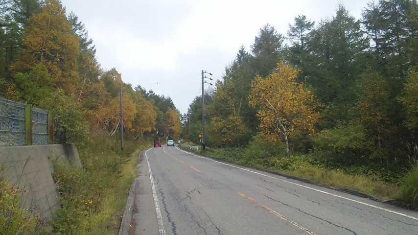 f0131183_1121567.jpg