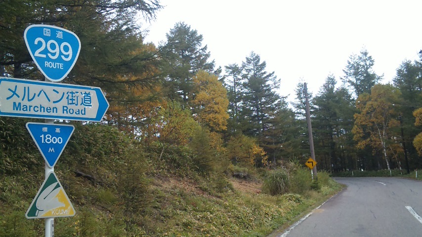 f0131183_113414.jpg