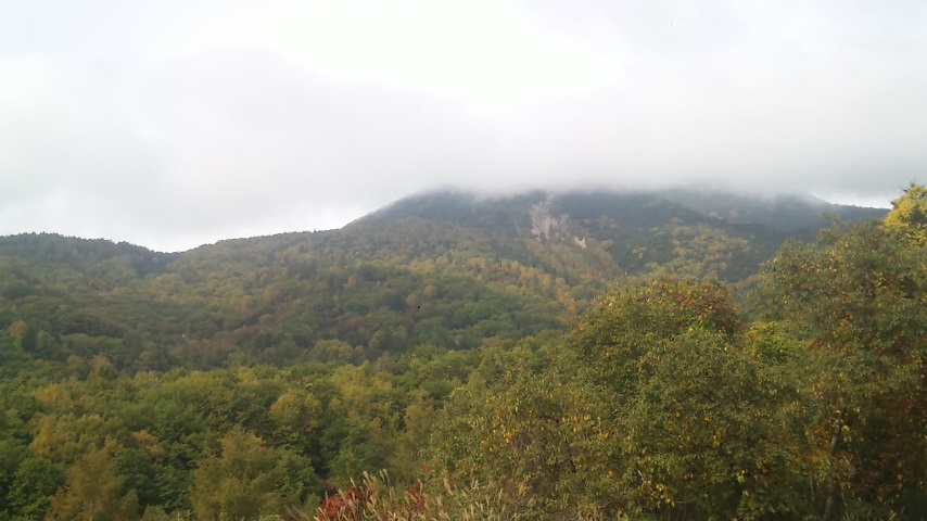 f0131183_15284311.jpg