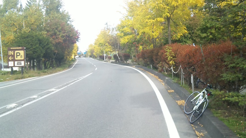f0131183_1532212.jpg