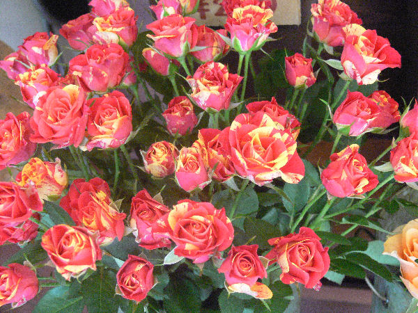 e0140986_16213491.jpg