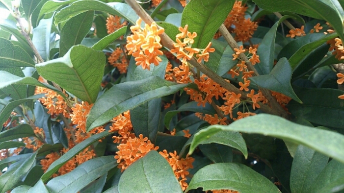 a0277988_955483.jpg