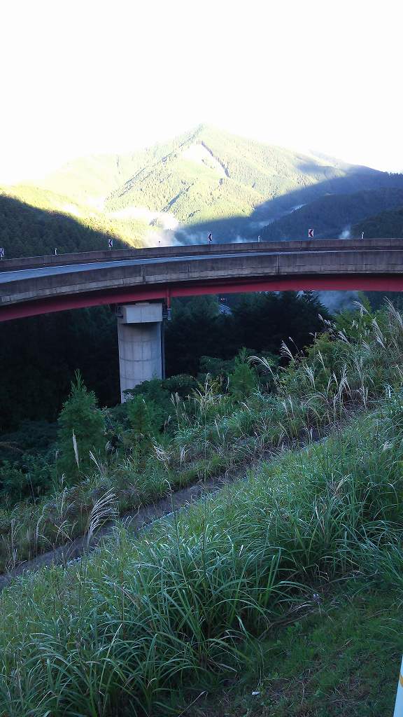 b0100489_10161341.jpg