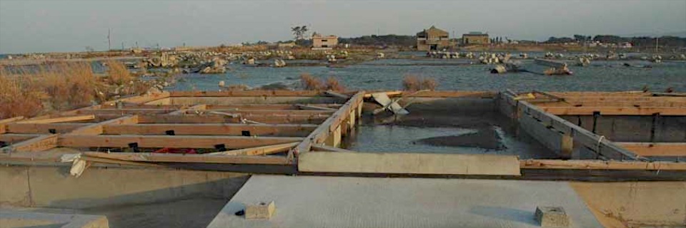 c0170789_1813892.jpg