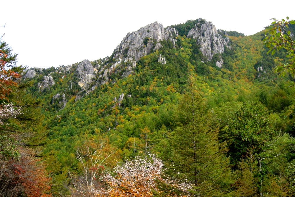 e0261593_2227237.jpg