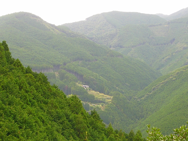 f0181394_23134199.jpg