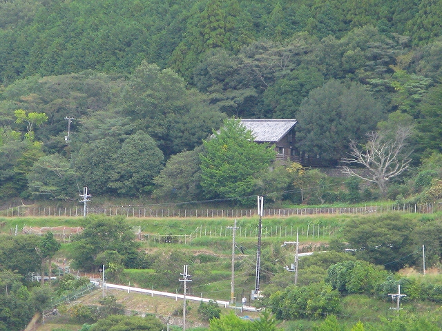 f0181394_23141016.jpg