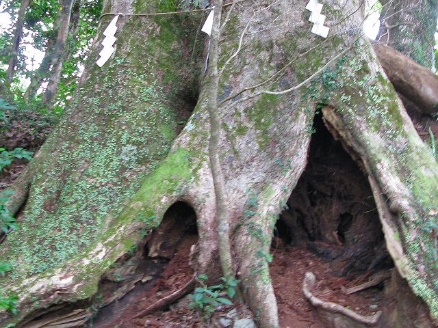 f0181394_23153984.jpg