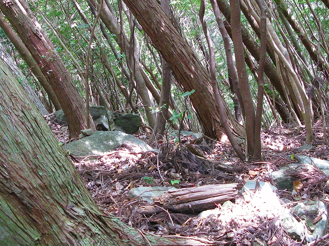 f0181394_2344667.jpg