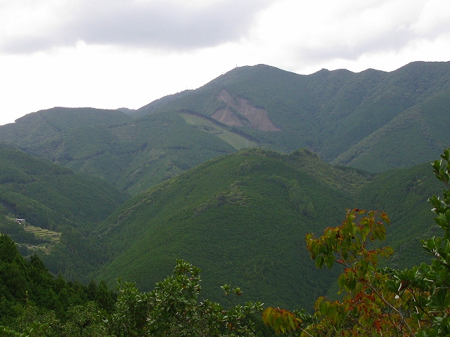 f0181394_23841.jpg