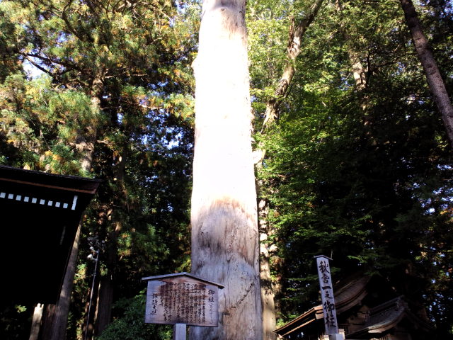f0042295_2333504.jpg