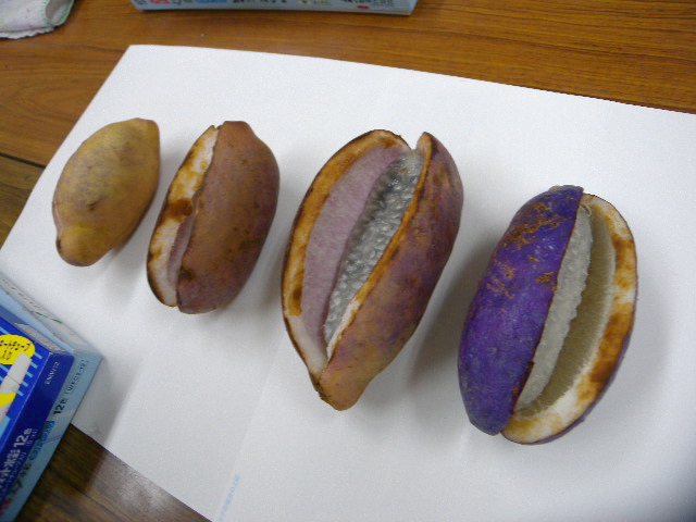 a0199297_18432450.jpg