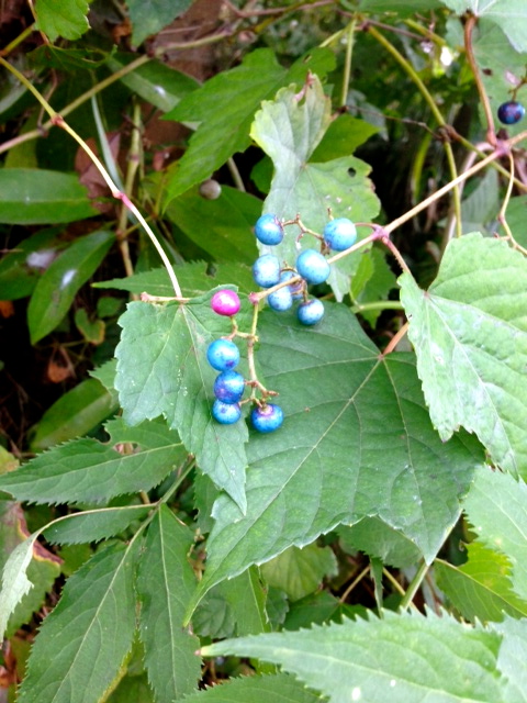 b0083902_1365078.jpg