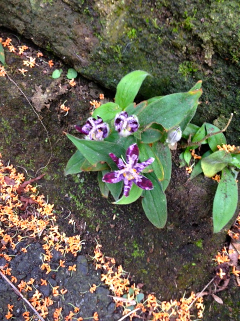 b0083902_1505257.jpg