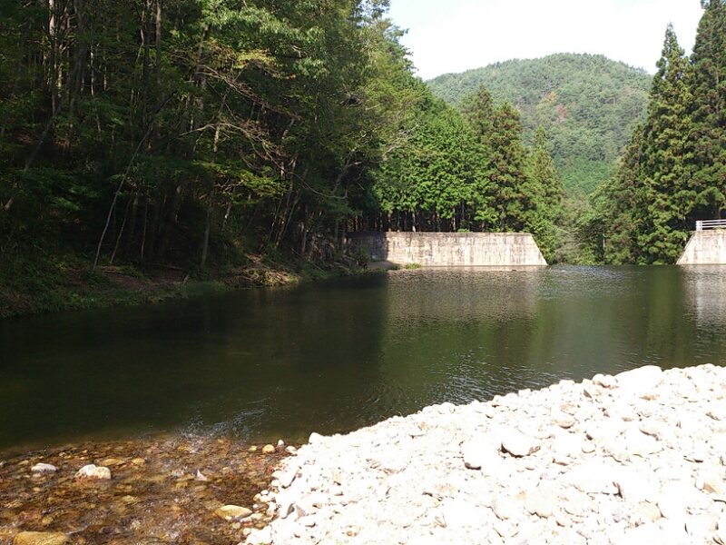 f0266202_17464239.jpg