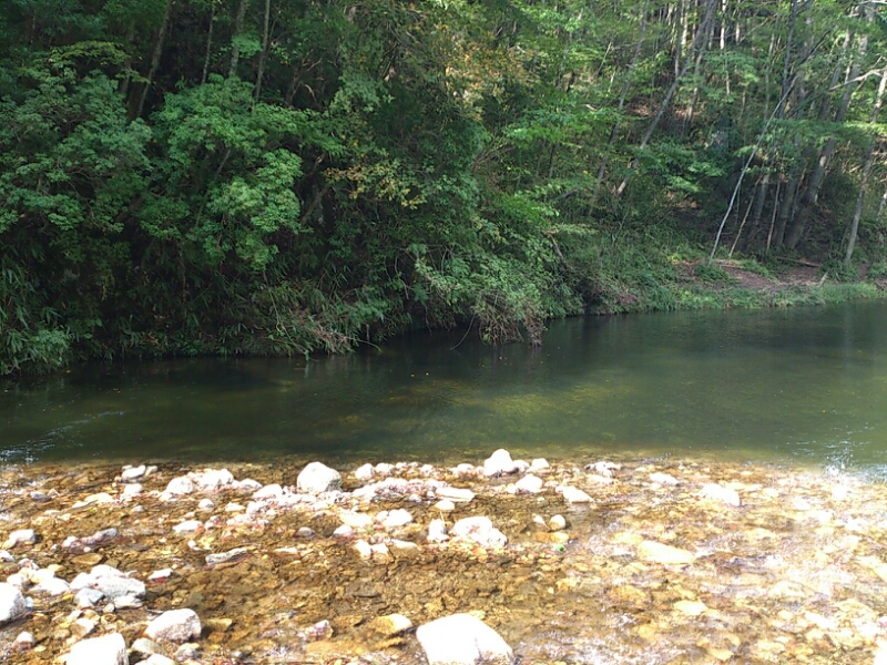 f0266202_1747766.jpg
