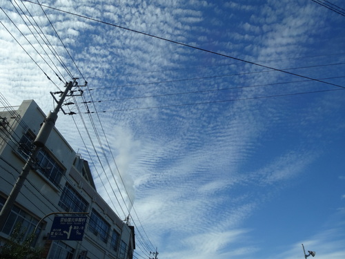 d0024504_2174044.jpg