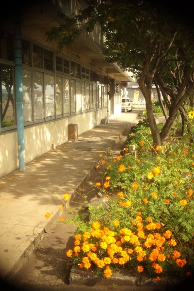 c0202705_10224916.jpg