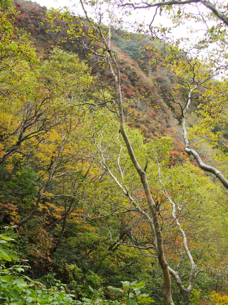 b0244811_0515672.jpg