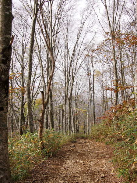 b0244811_056116.jpg