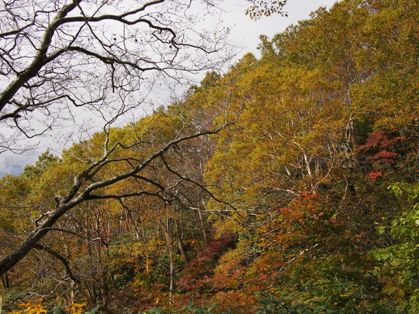 b0244811_1412720.jpg