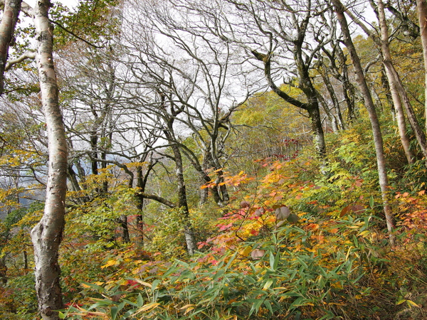 b0244811_1443788.jpg