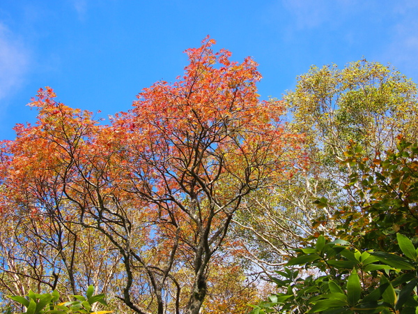 b0244811_145428.jpg
