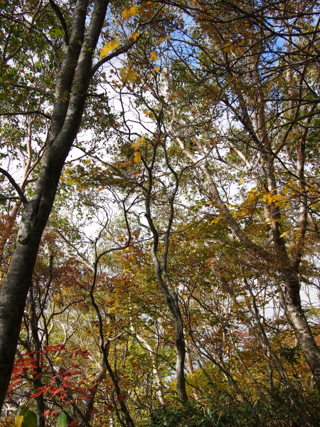b0244811_21762.jpg