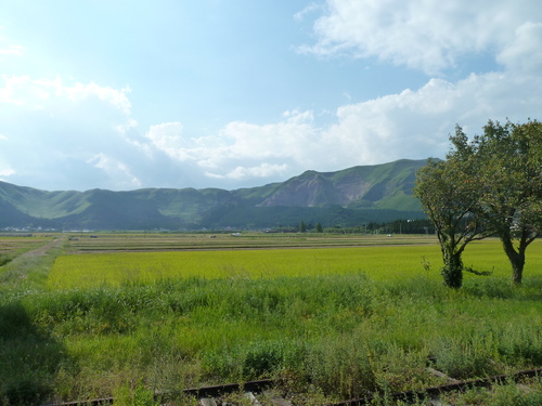 d0059811_17544121.jpg