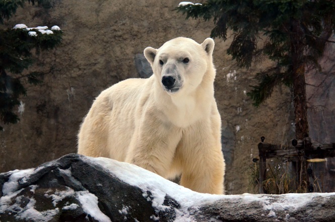 a0151913_14255229.jpg