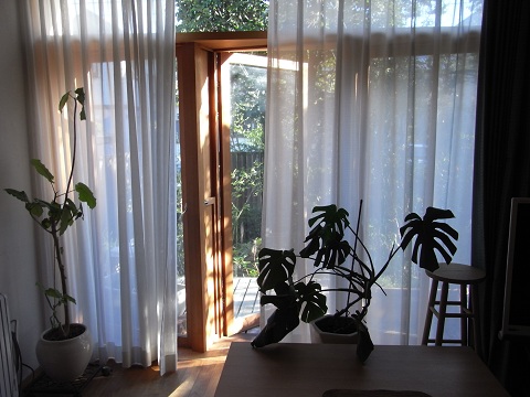 b0309813_211268.jpg