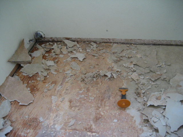 f0300716_100129.jpg