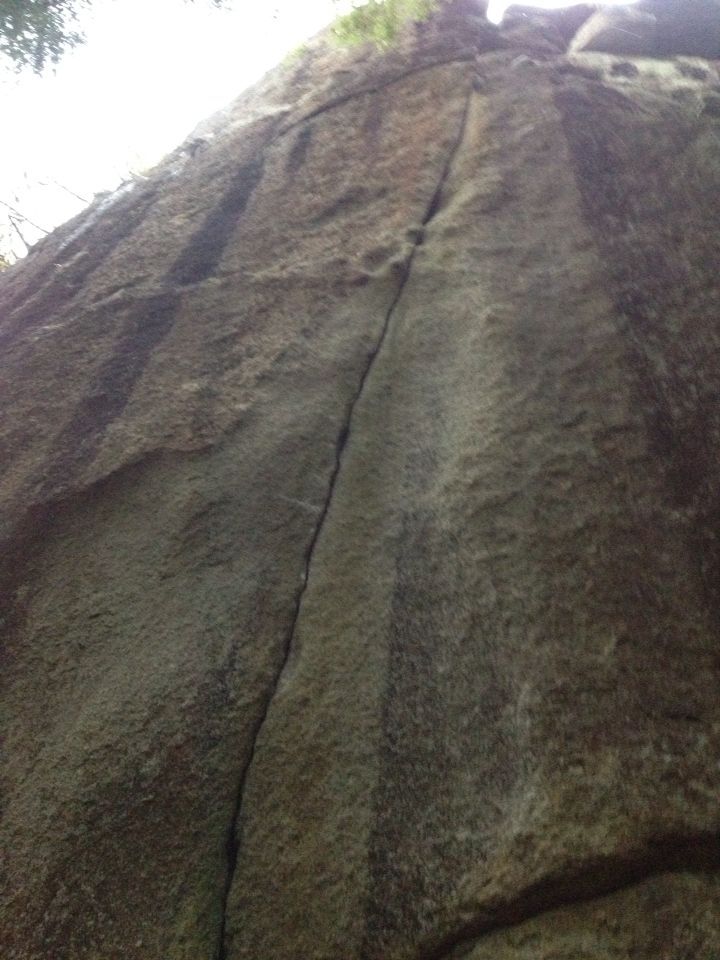 c0210618_2335828.jpg